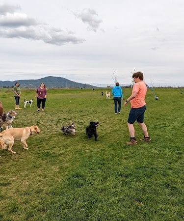 Pawfoot Dog Park