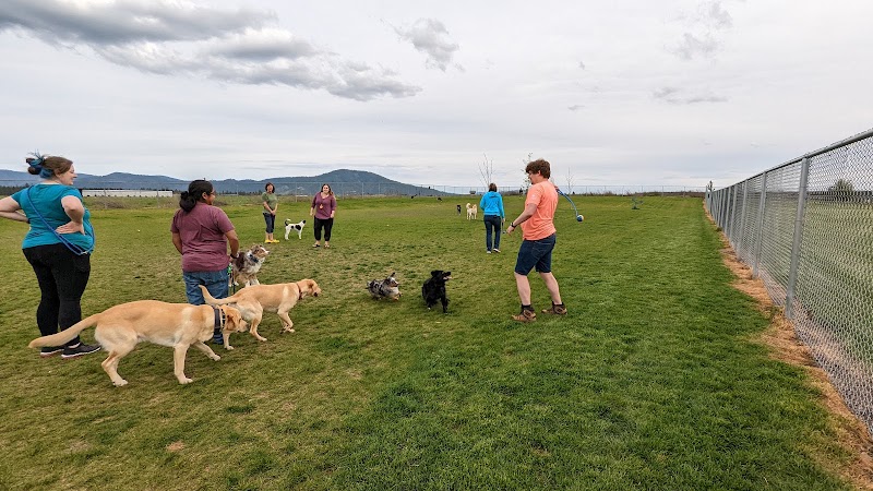 Pawfoot Dog Park