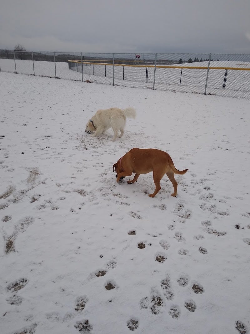 Pawfoot Dog Park