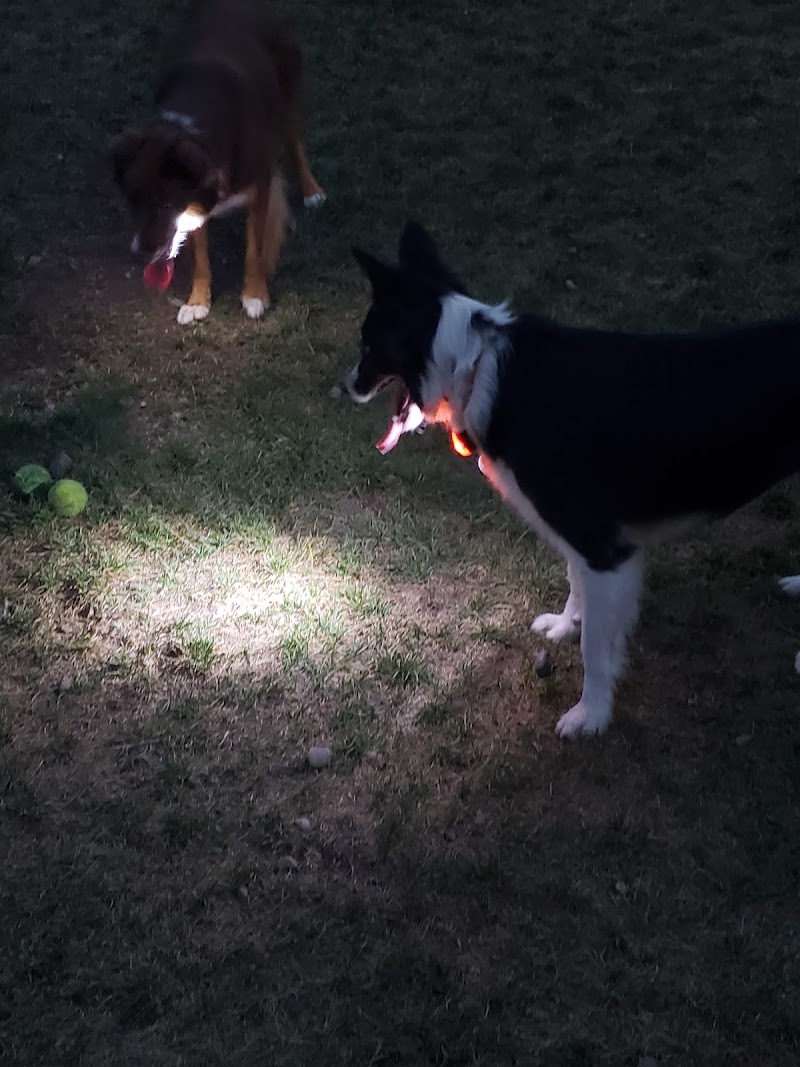 Pawfoot Dog Park