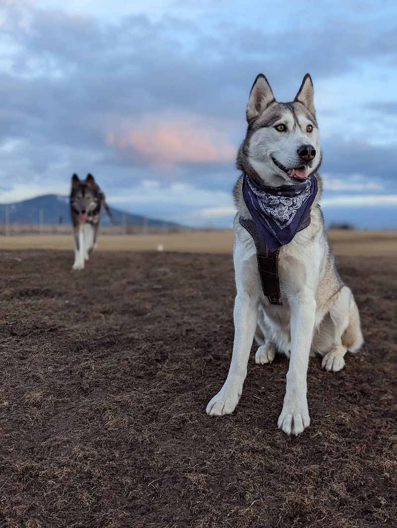 Pawfoot Dog Park