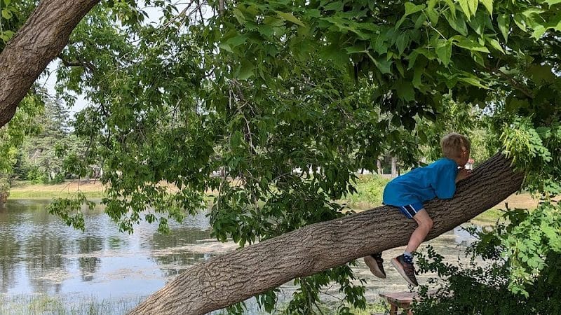 Shues Pond Park - Hayward, WI