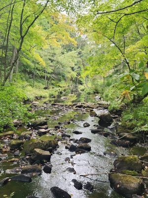 Gay City State Park