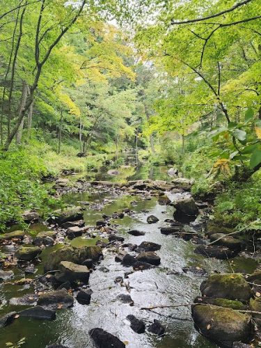Gay City State Park