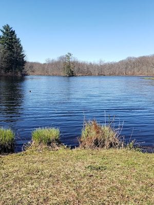 Gay City State Park