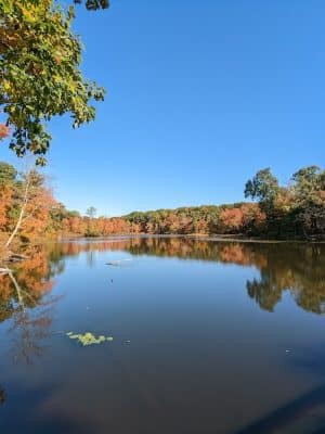 Gay City State Park