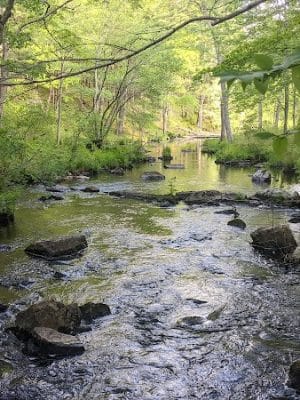 Gay City State Park
