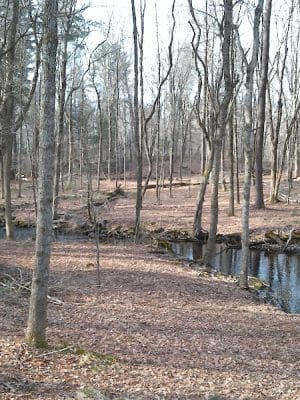 Gay City State Park