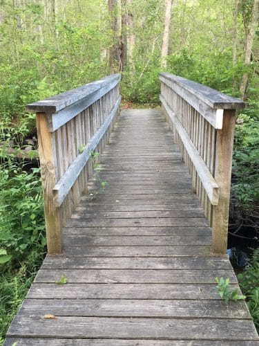 Gay City State Park