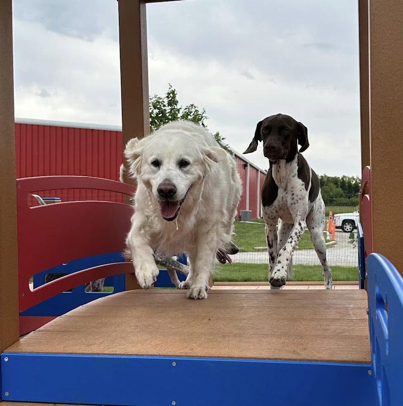 Stoney Run Canine Camp and Academy - Hebron, IN