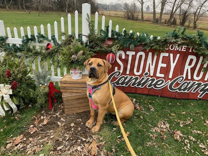 Stoney Run Canine Camp and Academy - Hebron, IN