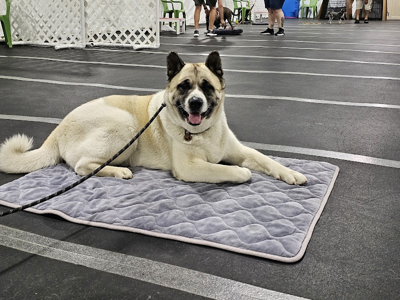 Stoney Run Canine Camp and Academy - Hebron, IN