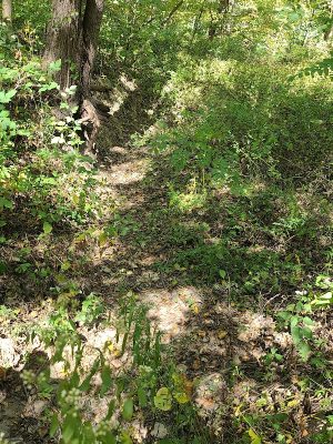 Stoney Run County Park