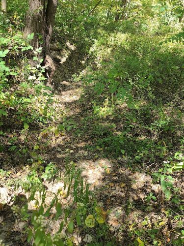 Stoney Run County Park