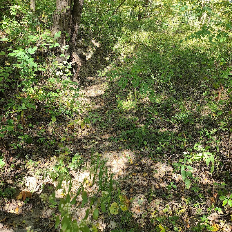 Stoney Run County Park - Hebron, IN