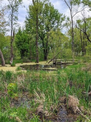 Stoney Run County Park