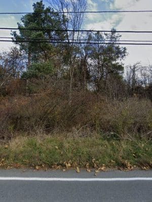Greensburg Thicket Warren