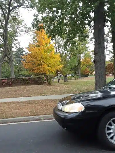 Brierley Park - Hempstead, NY