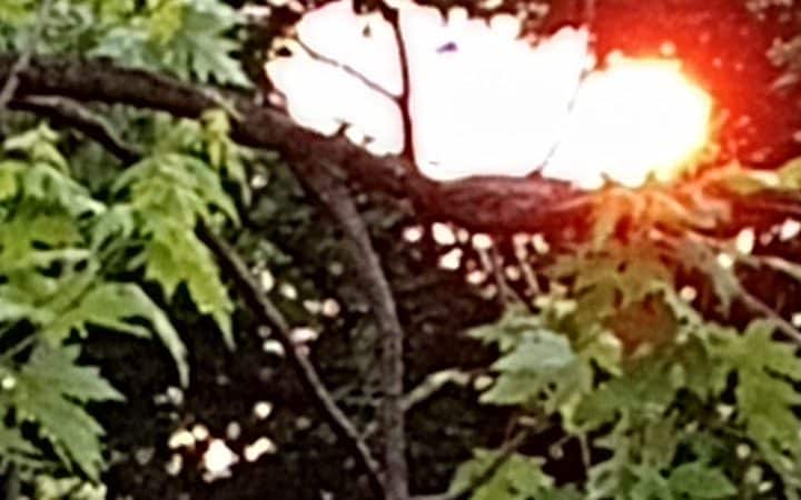 Brierley Park - Hempstead, NY