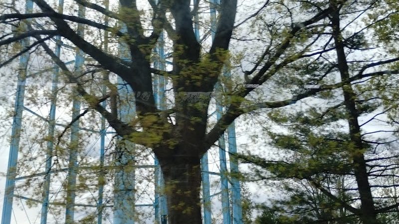 Campbell Park - Hempstead, NY