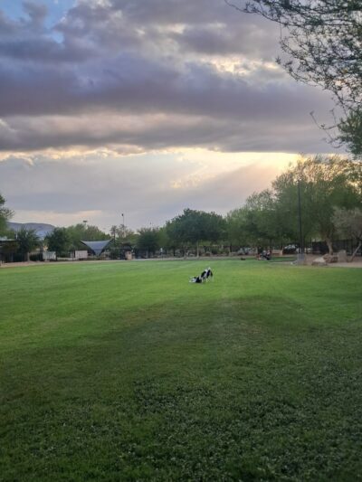 Bark Park at Heritage Park - Henderson, NV