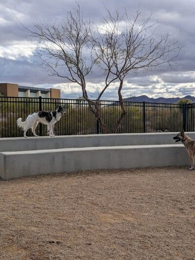 Bark Park at Heritage Park - Henderson, NV