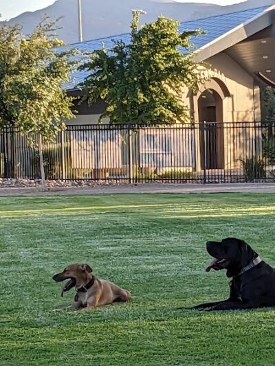 Bark Park at Heritage Park - Henderson, NV