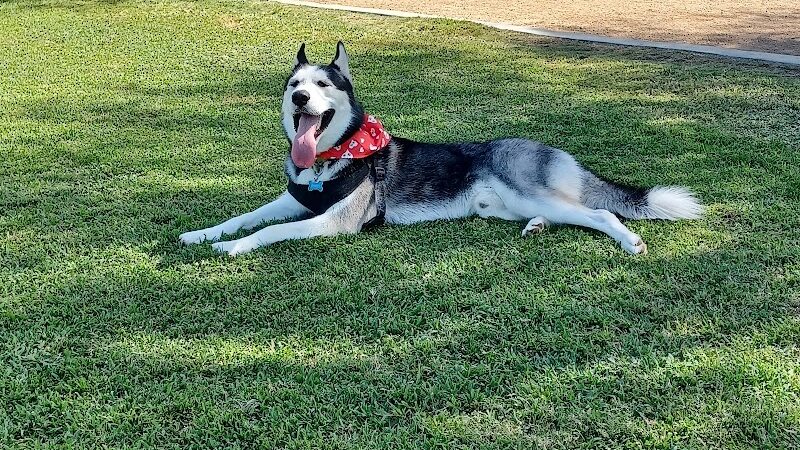 Bark Park at Heritage Park - Henderson, NV