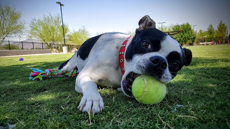 Bark Park at Heritage Park - Henderson, NV