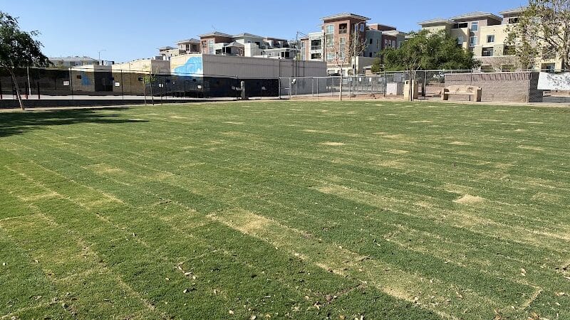 Nicolai's Para Dog park - Henderson, NV