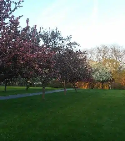 Stoner Park - Henry, IL