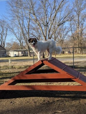 Herrin Dog Park - Herrin, IL