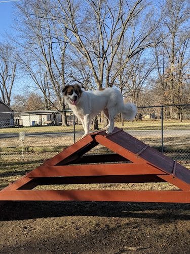 Herrin Dog Park - Herrin, IL