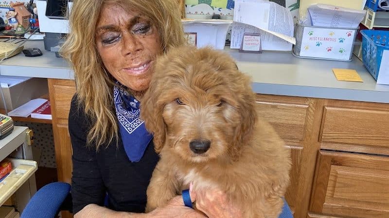Hewlett Animal Hospital & Pet Resort - Hewlett, NY