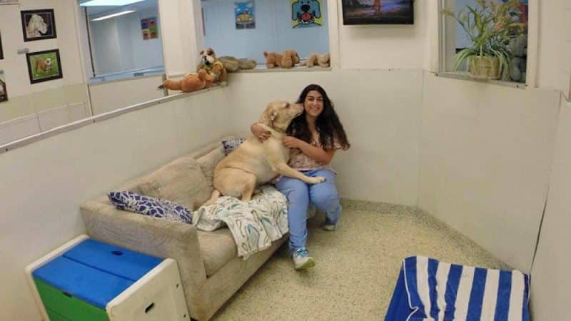 Hewlett Animal Hospital & Pet Resort - Hewlett, NY