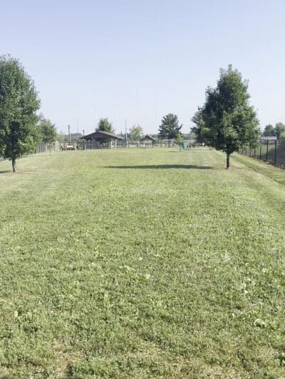Highland Jaycees Dog Park - Highland, IL