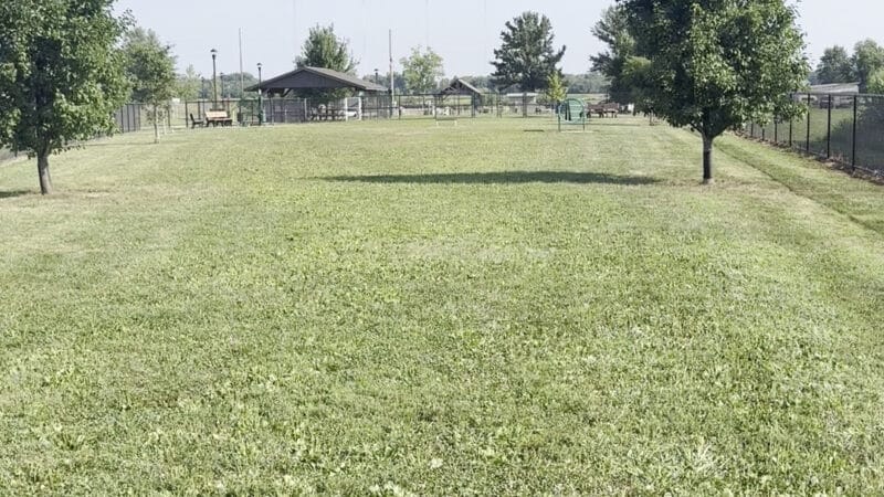Highland Jaycees Dog Park - Highland, IL
