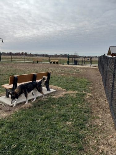 Highland Jaycees Dog Park - Highland, IL