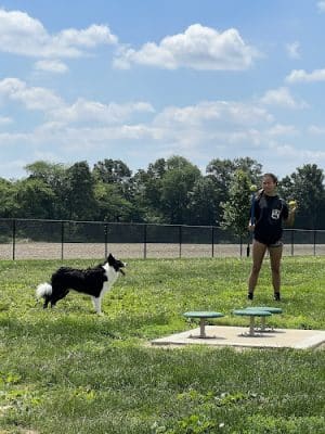 Highland Jaycees Dog Park - Highland, IL