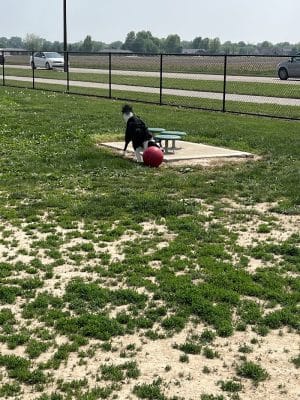 Highland Jaycees Dog Park - Highland, IL
