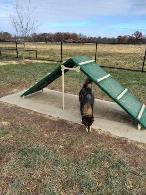 Highland Jaycees Dog Park - Highland, IL