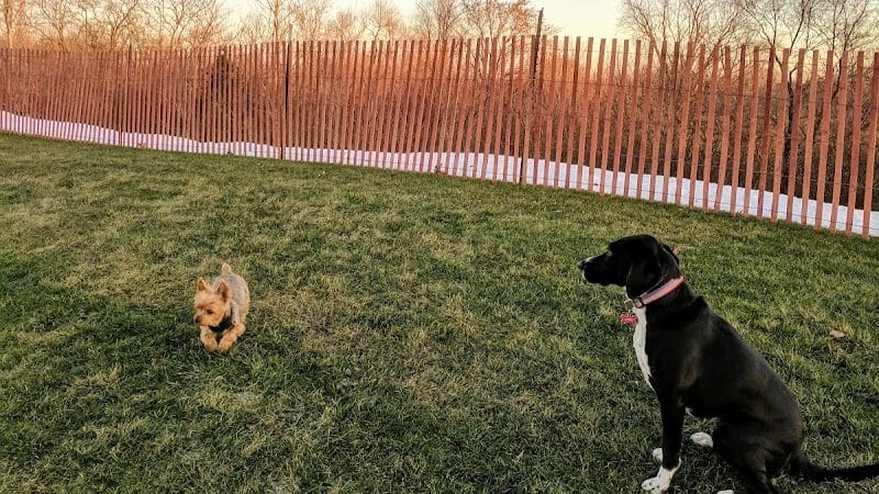 Highland Park Golf Dog Park - Highland Park, IL