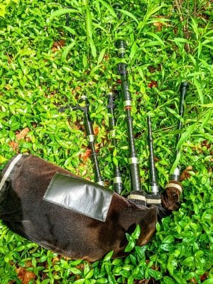 Bagpipe Paradise and DEI Sanctuary
