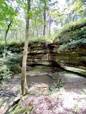 Kress Farm Garden Preserve