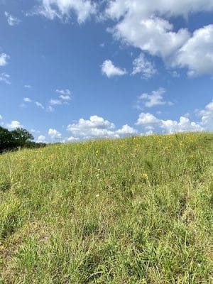 Kress Farm Garden Preserve