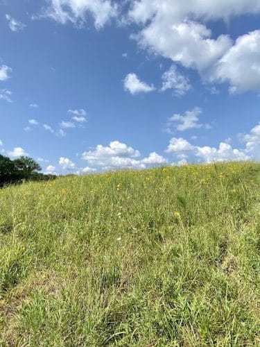 Kress Farm Garden Preserve