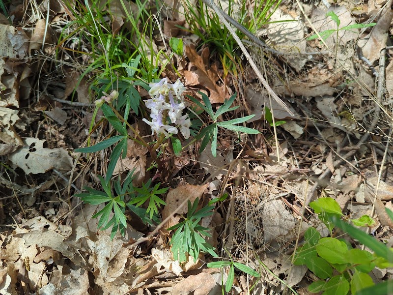 Kress Farm Garden Preserve - Hillsboro, MO