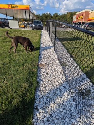 Dog Park at Love's Travel Stops