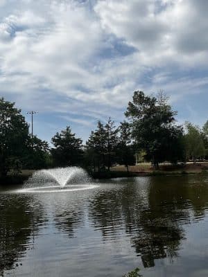 Ann Van Middlesworth Park