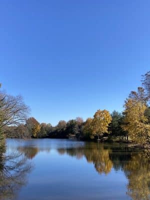 Ann Van Middlesworth Park